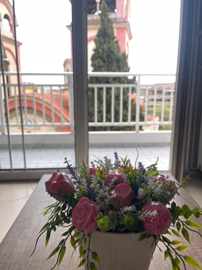 Theia Analipsi Central Apartment カテリーニ エクステリア 写真